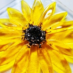 Close up view of centre of handmade sunflower suncatcher with ashes fused inside the glass.