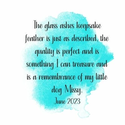 Customer Review for ashes in glass keepsake